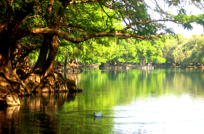 Lago de Camécuaro una maravilla en Michoacán
