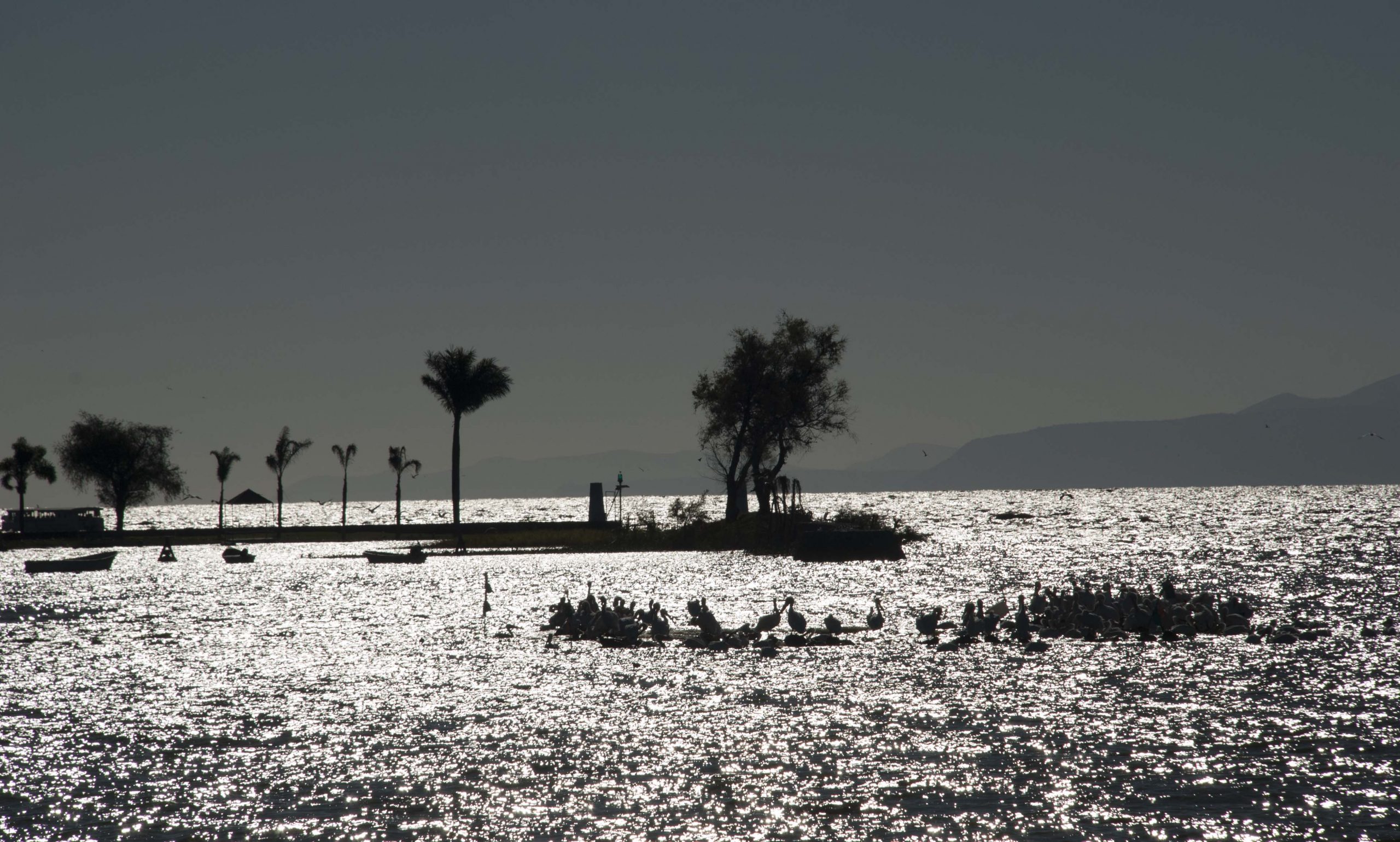 Chapala una joya del estado de Jalisco Viajes, estilo, sabores y algo más
