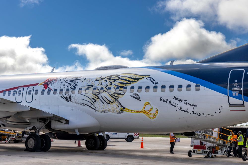 Gallina pintada por Halilaj, en el fuselaje de un avión de Aeroméxico