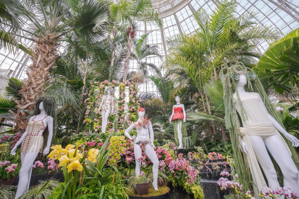 Orchid Show engalana el Jardín Botánico en Nueva York