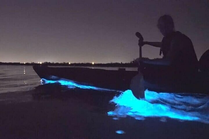 Una noche en esta temporada de verano para disfrutar la bioluminiscencia en Holbox, es algo que no te puedes perder.
