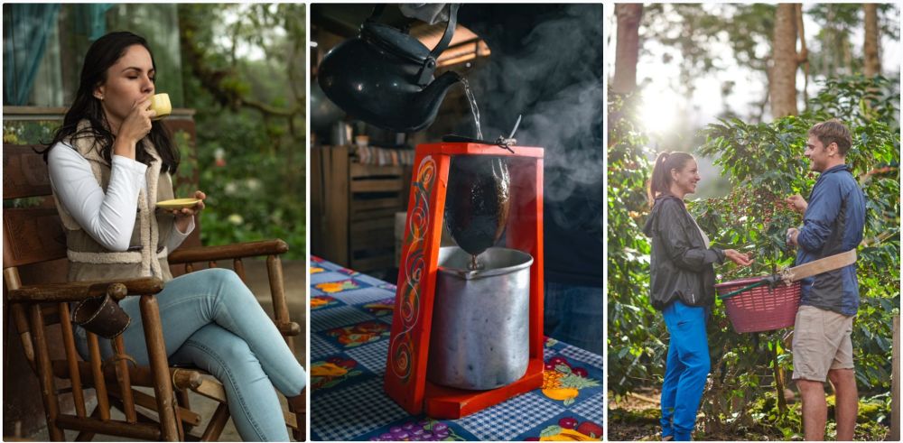 Conoce las regiones de café en Costa Rica