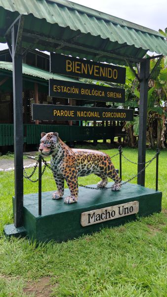 Estación Biológica Sirena, en Parque Nacional Corcovado, en Costa Rica