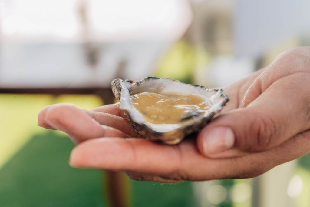 La gastronomía en La Paz, Baja California Sur, busca incentivar las prácticas sustentables que beneficien a todos.