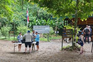 Parque Nacional Corcovado, en Costa Rica, aquí se encuentra el 2.5% de la biodiversidad del planeta.