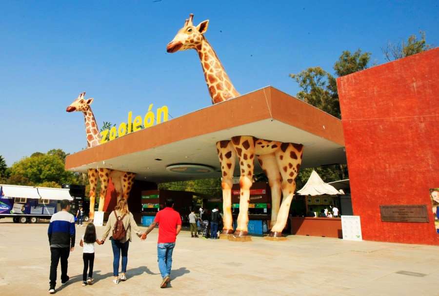 Zoo negocios