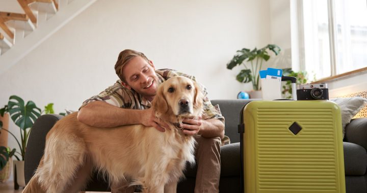 Cuando pienses en un alojamiento pet friendly en tu próximo viaje, te sugerimos que consideres algunos de estos aspectos para que tu amigo de cuatro patas la pase muy bien.