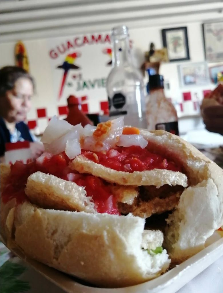 Guacamayas de Javier
