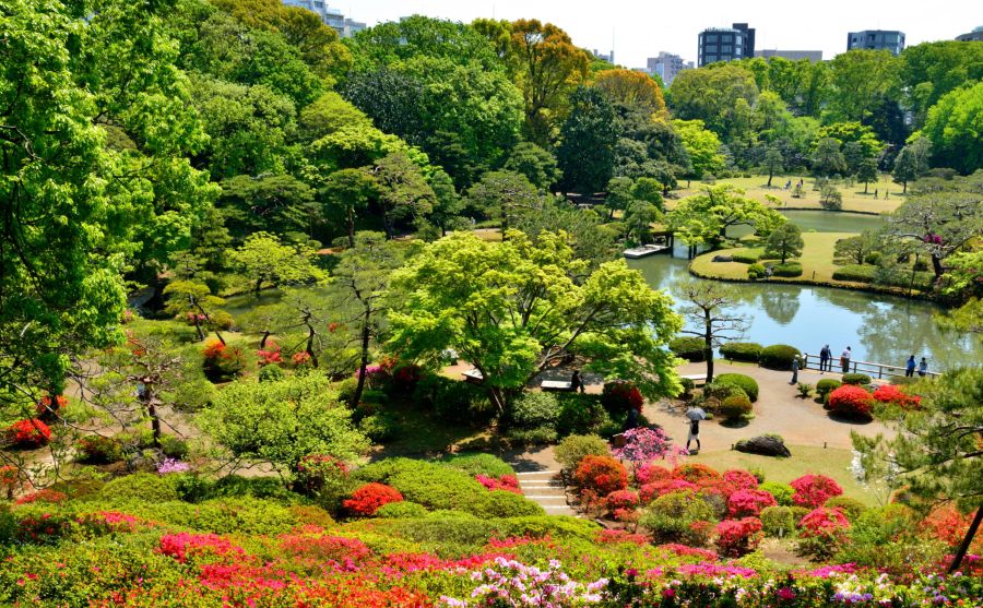Japón 2