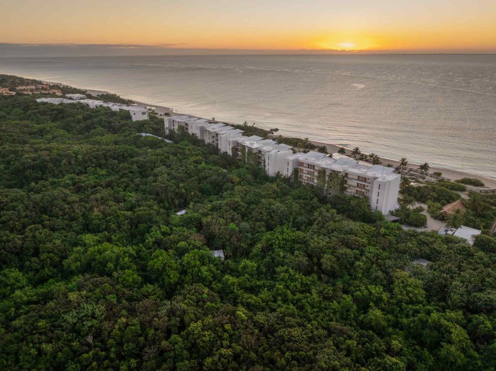 Palmaïa es un resort que despertará tus sentidos y te conectará con la naturaleza. Conócelo, en la Riviera Maya.
