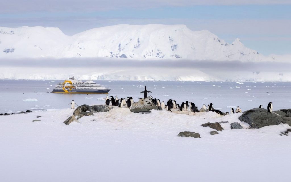Explora South Georgia Island, un territorio que te maravillará con su belleza natural. Además, conoce los Pingüinos Rey en una expedición organizada por Quark Expeditions.