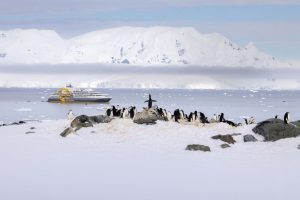 Explora South Georgia Island, un territorio que te maravillará con su belleza natural. Además, conoce los Pingüinos Rey en una expedición organizada por Quark Expeditions.