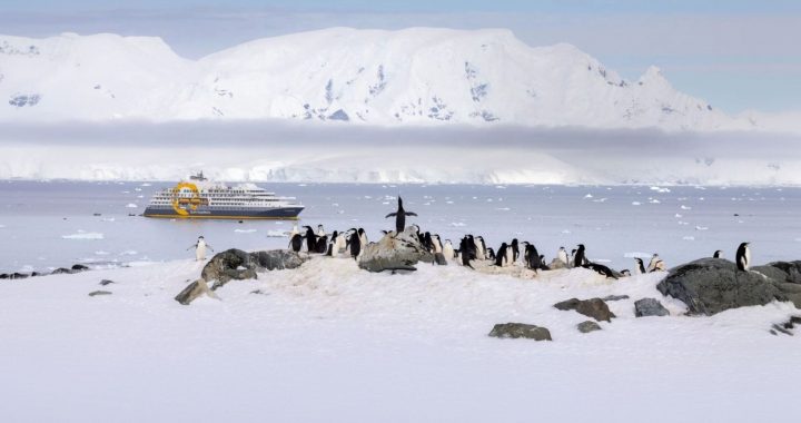 Explora South Georgia Island, un territorio que te maravillará con su belleza natural. Además, conoce los Pingüinos Rey en una expedición organizada por Quark Expeditions.