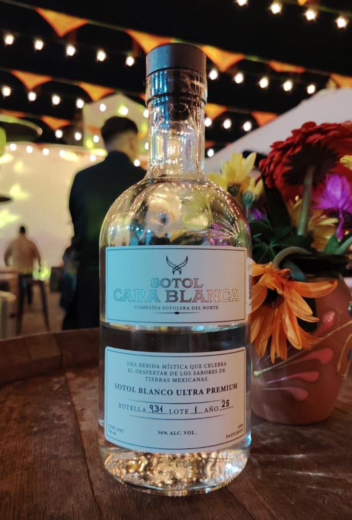 México Selection (5)