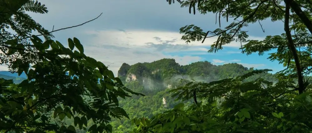 Ciales, uno de los lugares más verdes de Puerto Rico, en donde además, el café es delicioso.
