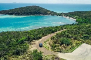 El más reciente álbum de Bad Bunny: DeBÍ TiRAR MáS FOToS, te llevará de viaje por Puerto Rico.