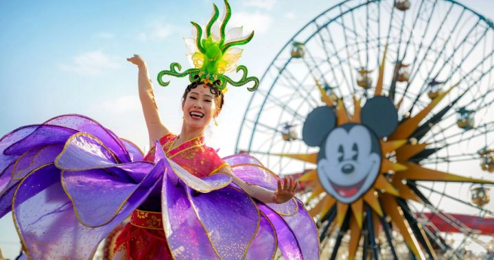 fESTIVAL AÑO DEL CABALO