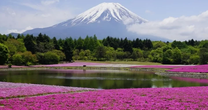 Turismo de montaña será una forma de viajar muy buscada por los turistas, según Despegar. Monte Fuij en Japón.