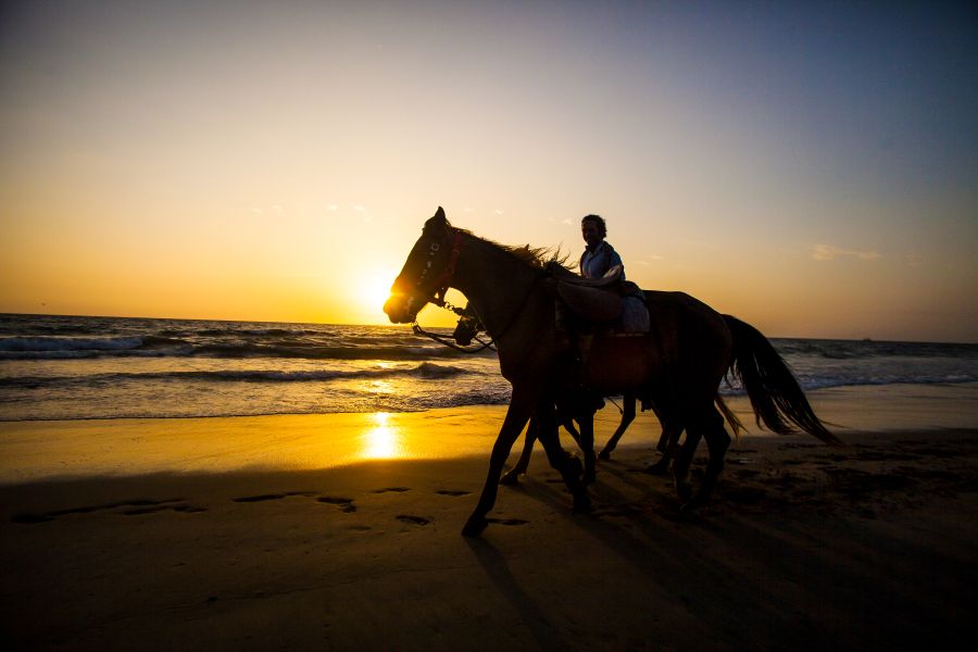 Cabalgatas en Punta Sal - Marco Garro Promperú