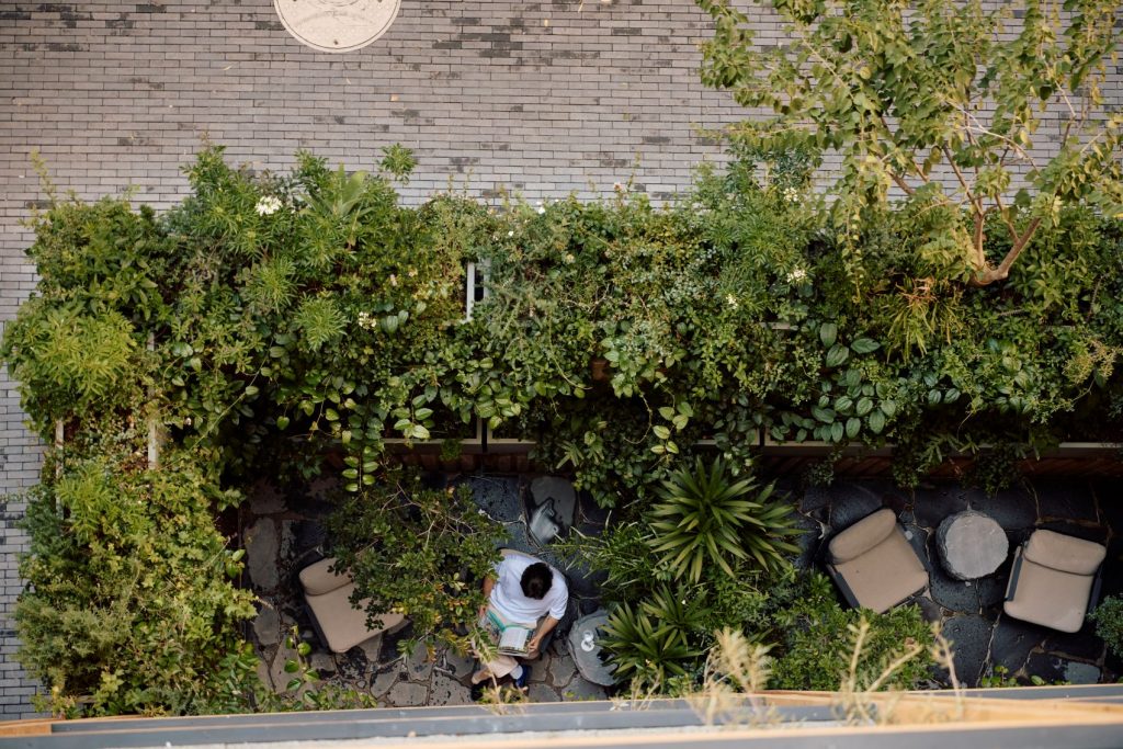 Onto Álvaro Obregón