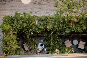 Onto Álvaro Obregón