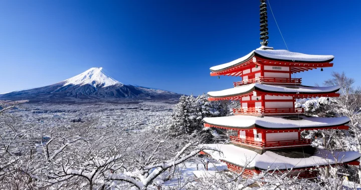 Todas las experiencias de viaje de Japón, están pensadas para transformar tu manera de pensar.