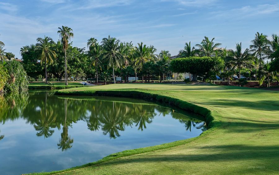 marina vallarta golf