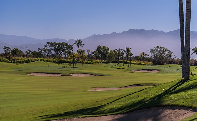 vidanta golf nuevo vallarta