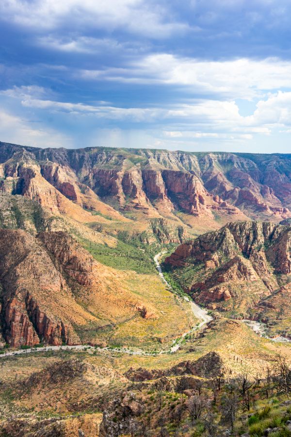 Experience Williams(214of425)