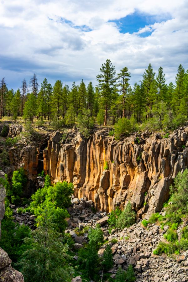 Experience Williams(217of425)