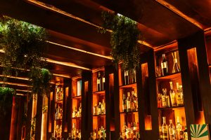 Fuego Restuarante Roma (2)