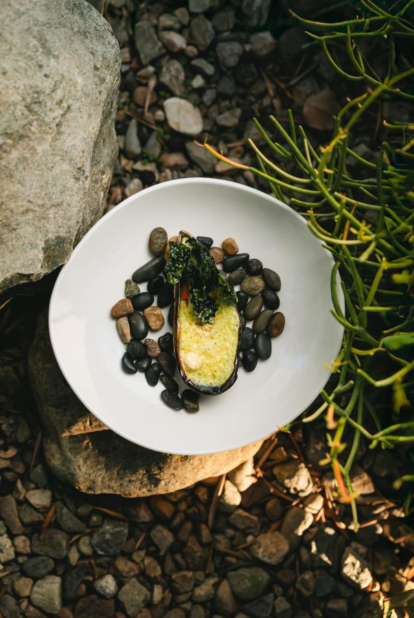 Olivea Form platochoro