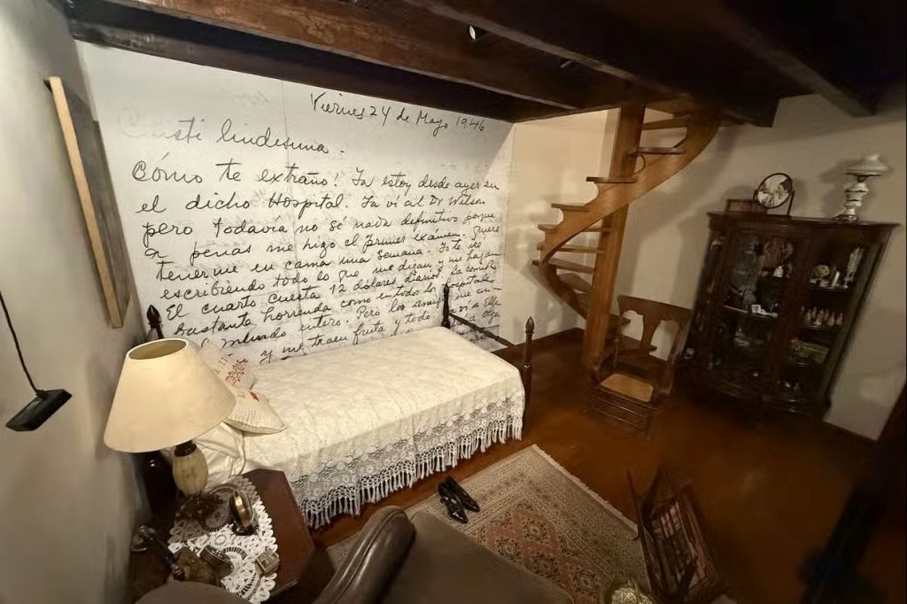 habitacion museo kahlo trajinera rosa