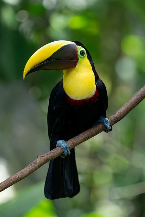 Gran Acuario 1