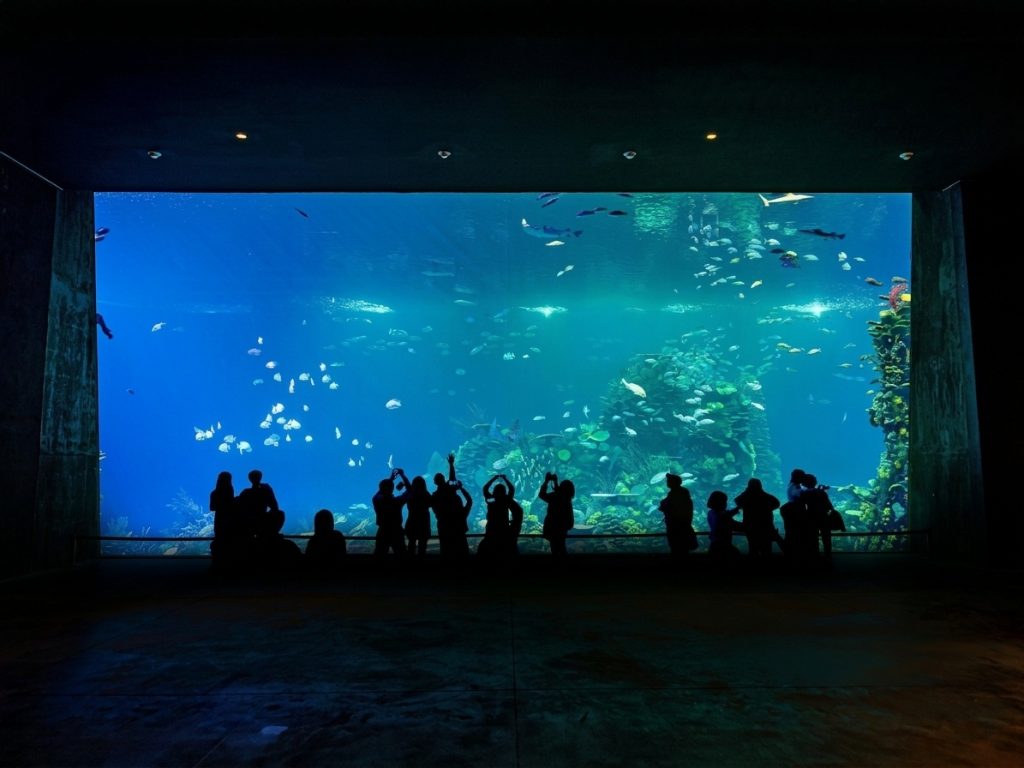 Gran Acuario Mazatlán