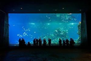 Gran Acuario Mazatlán