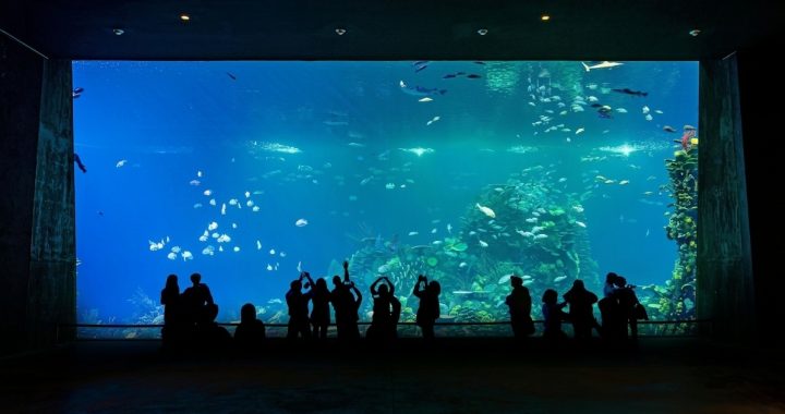 Gran Acuario Mazatlán