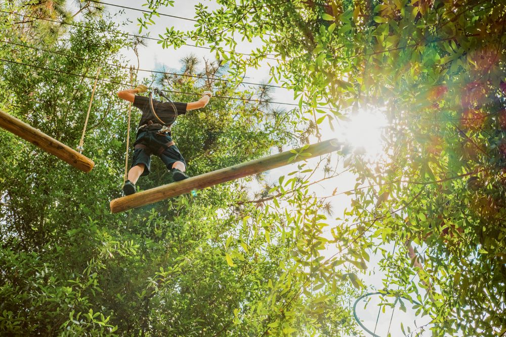 Orlando Tree Trek Adventure Park