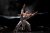 Cuerpos en movimiento bajo luces de Houston