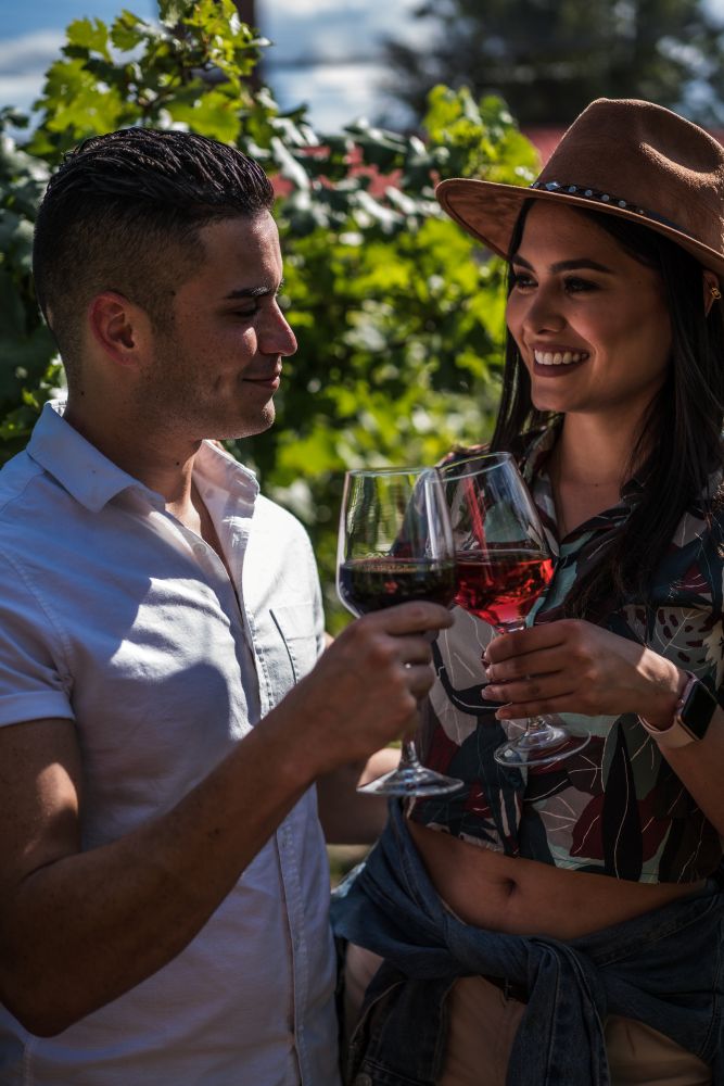 Vino Vinorte (3)