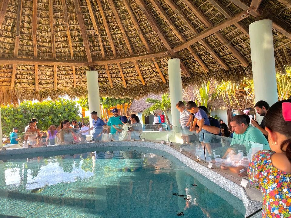 santuario tortuguero Estrella del Mar