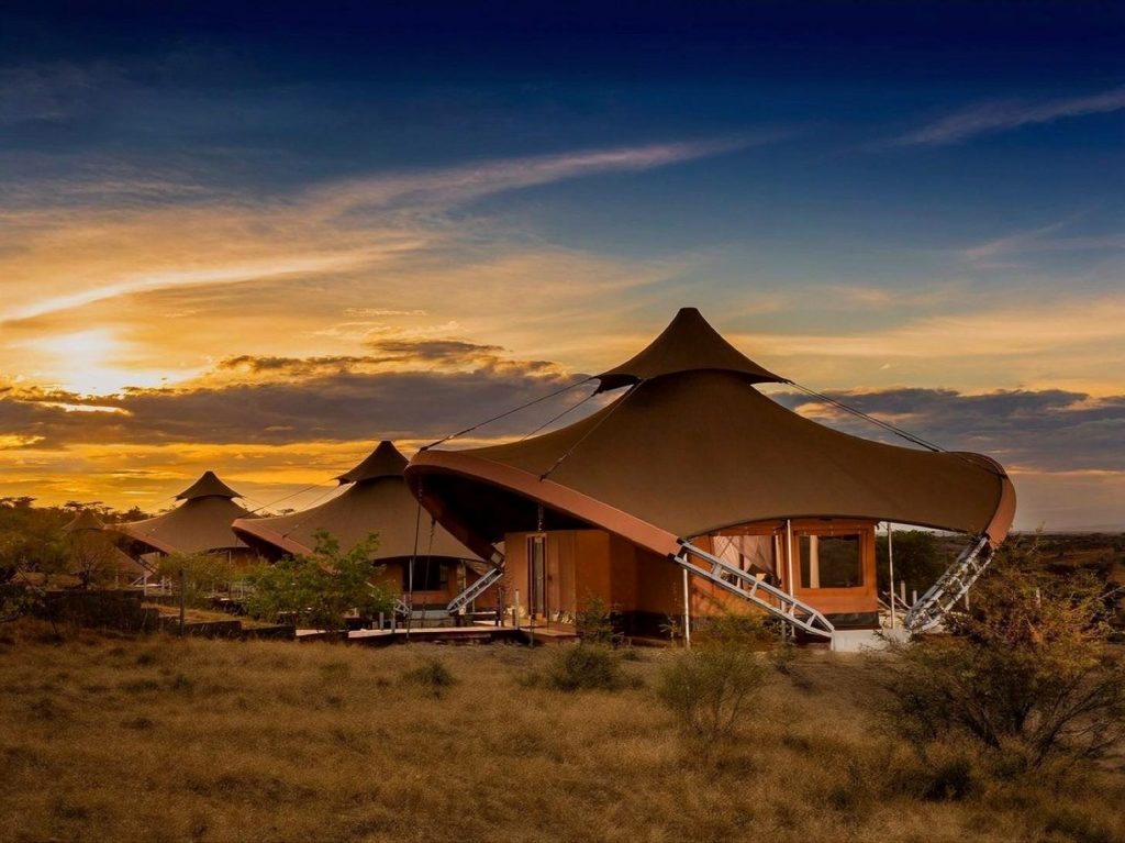 Glamping vs. Lodges de Lujo: la mejor inmersión en la naturaleza premium