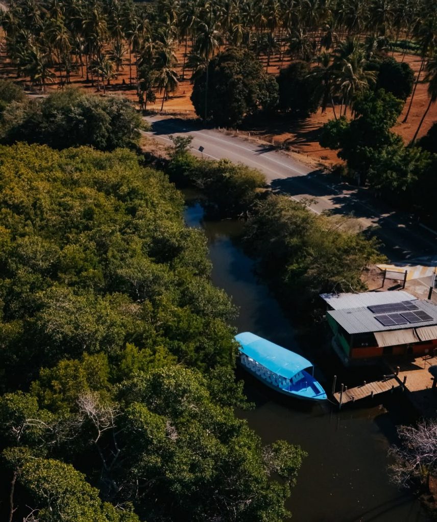 Isla de la Piedra Manlgares