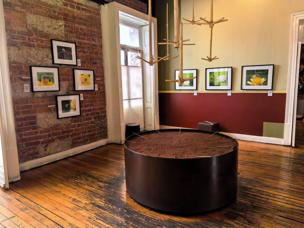 En la colonia Juárez de la CDMX hay un lugar en el que saldrás con un gran antojo de chocolate, hablamos del MUCHO - Museo del Chocolate. Tienes que visitarlo.