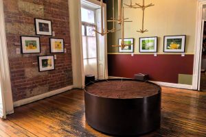 En la colonia Juárez de la CDMX hay un lugar en el que saldrás con un gran antojo de chocolate, hablamos del MUCHO - Museo del Chocolate. Tienes que visitarlo.