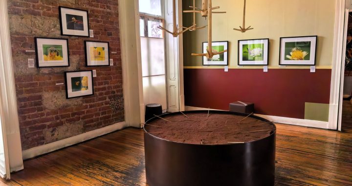 En la colonia Juárez de la CDMX hay un lugar en el que saldrás con un gran antojo de chocolate, hablamos del MUCHO - Museo del Chocolate. Tienes que visitarlo.