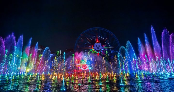 59 entradas Disneyland