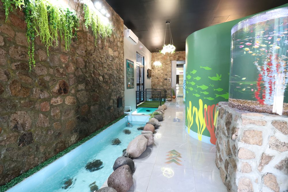 Acuario Ro'chí Guachochi (3)