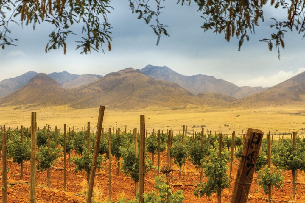 Sonoita Vineyards Tucson