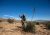 Razones para amar el destilado del desierto mexicano